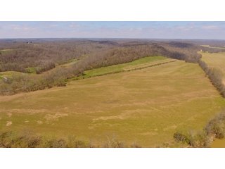 Property photo 11 - REAL ESTATE AUCTION - 1,013 ACRES IN 21 TRACTS IN MARTIN COUNTY, INDIANA